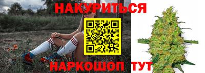 гидра Новодвинск
