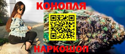 гидра Новодвинск