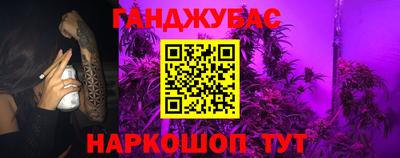 гидра Новодвинск