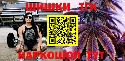 гидра Новодвинск