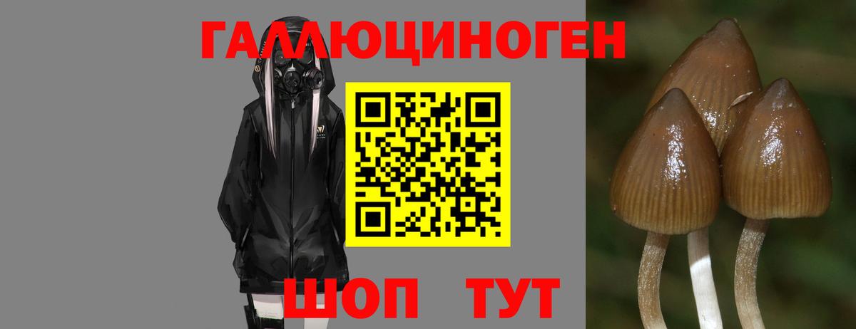 Псилоцибиновые грибы Psilocybe  Вход с VPN  Соликамск  Галлюциногенные грибы Cubensis 